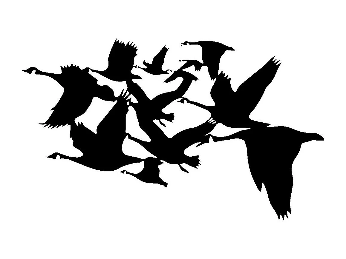 Décoration en Métal Oiseaux 4, Noir, 82x0,15x50 cm, EPIKASA