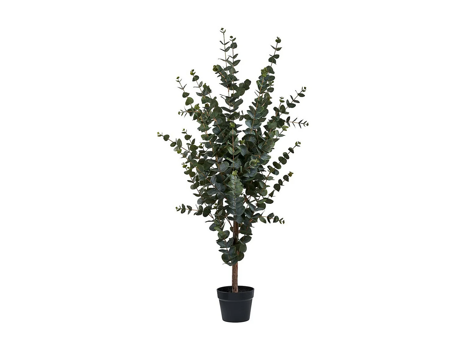 Kunstplant Eucalyptus, Groen, 46x36x120 cm, EPIKASA
