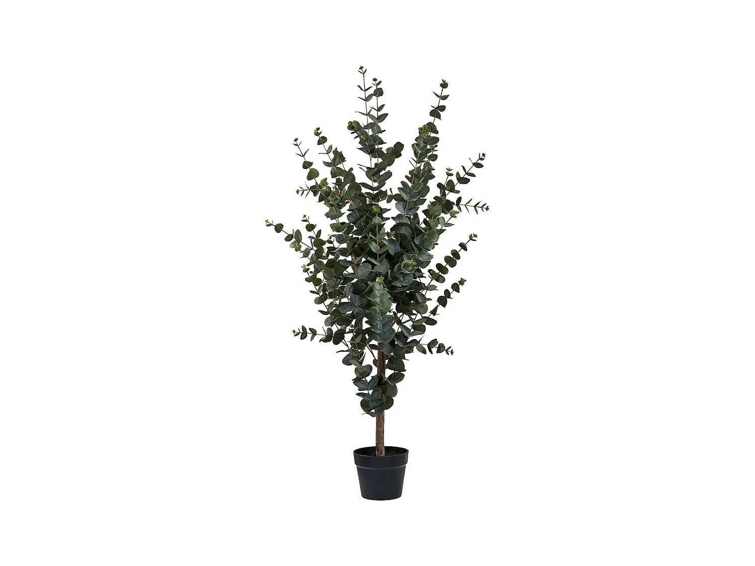 Plante Artificielle Eucalyptus, Vert, 46x36x120 cm, EPIKASA