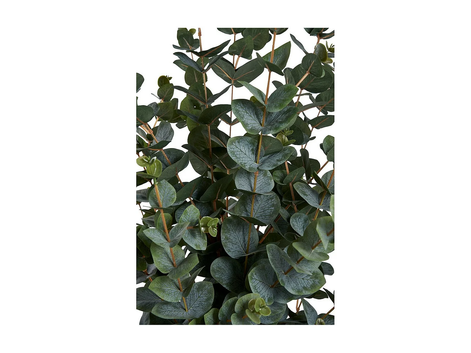 Plante Artificielle Eucalyptus, Vert, 46x36x120 cm, Seven Design