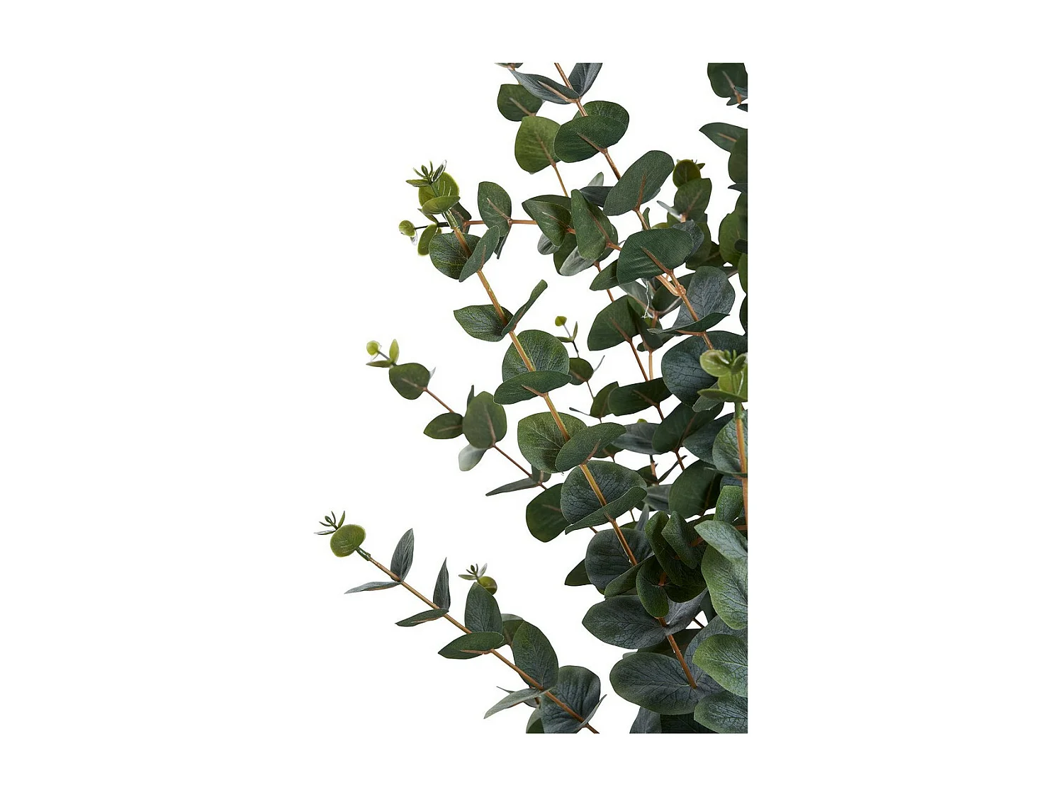 Plante Artificielle Eucalyptus, Vert, 46x36x120 cm, Seven Design