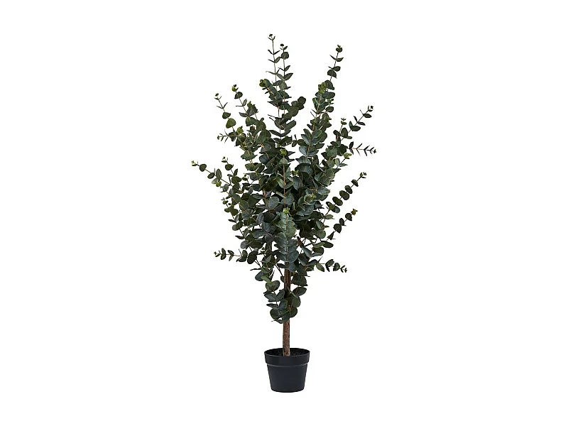 Sztuczna Roślina Eukaliptus, Zielony, 46x36x120 cm, Seven Design