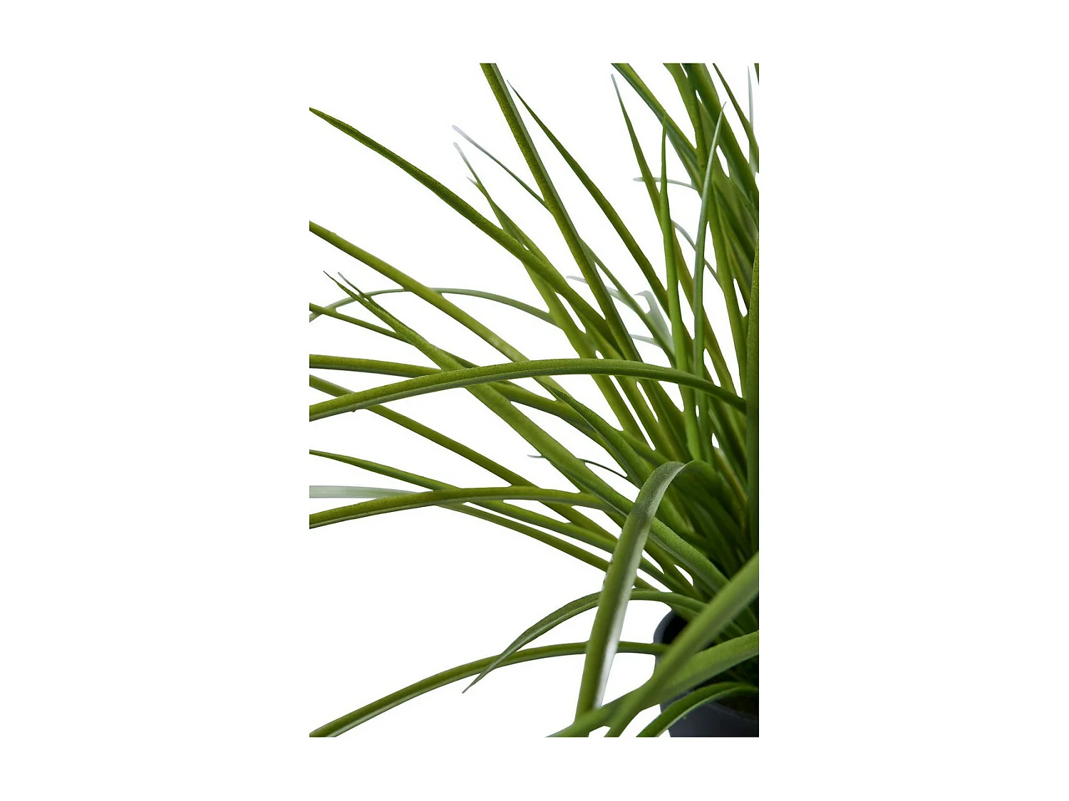 Pianta Artificiale Lovely, Verde, 51x51x45 cm, EPIKASA