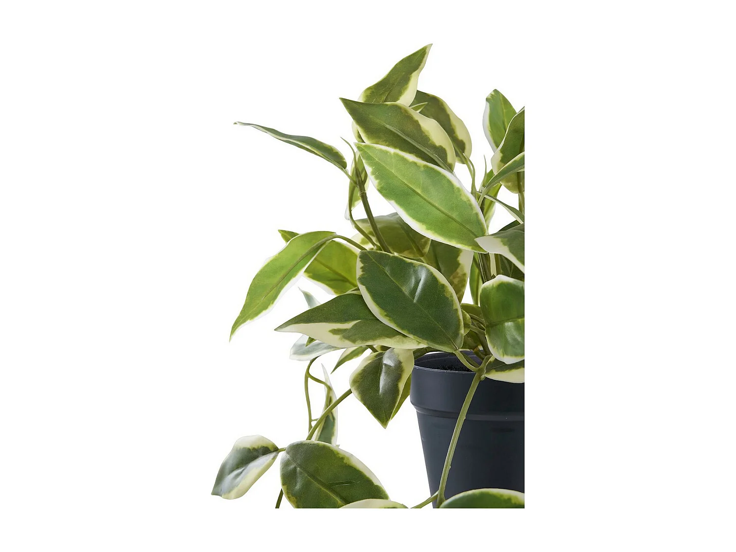 Kunstplant Hoya, Groen, 25,5x25,5x33 cm, EPIKASA