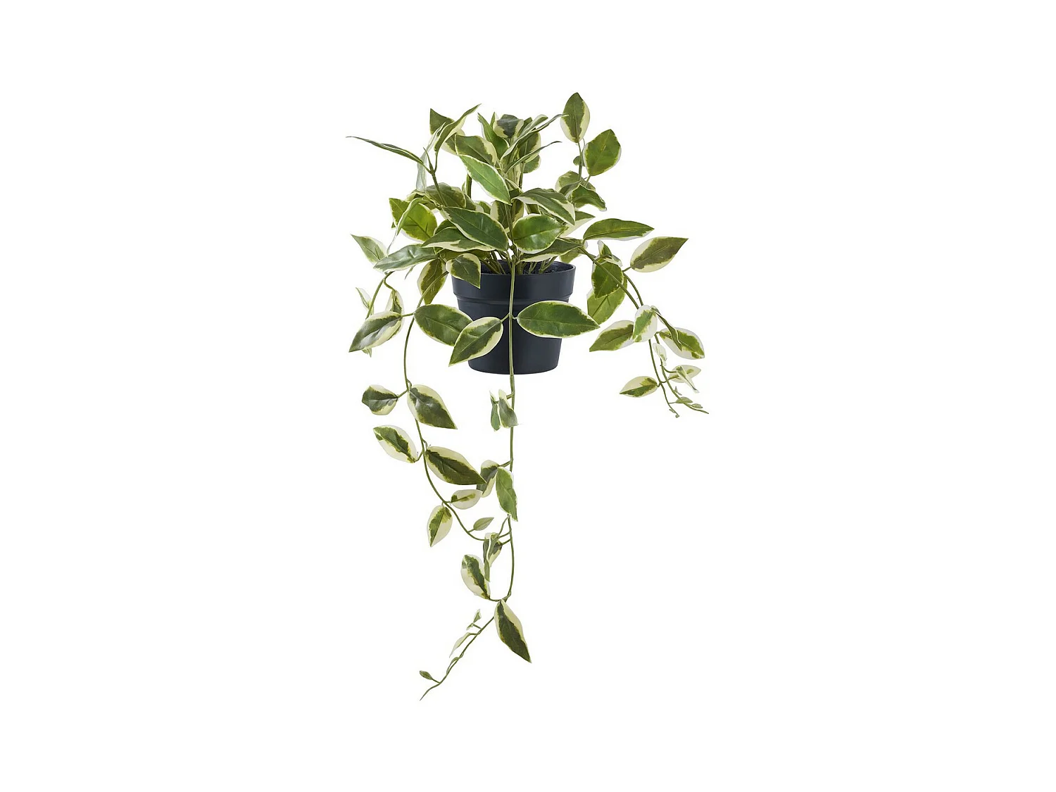 Plante Artificielle Hoya, Vert, 25,5x25,5x33 cm, EPIKASA