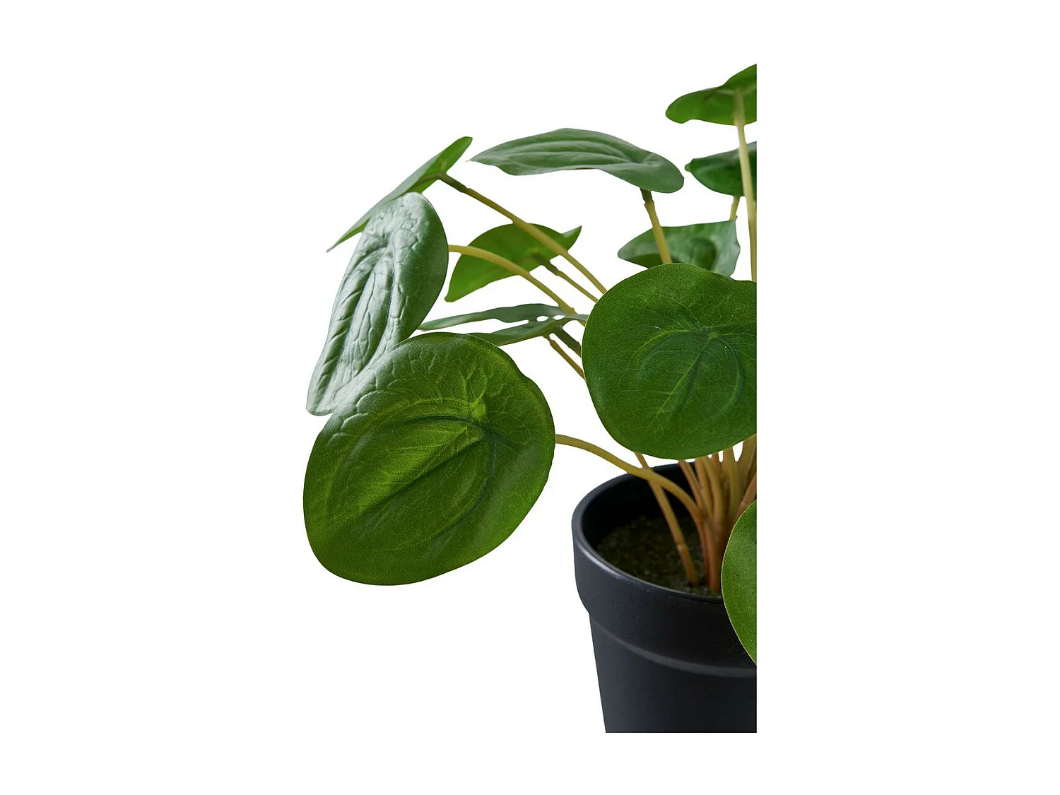 Plante Artificielle Pilea, Vert, 28x28x28 cm, EPIKASA