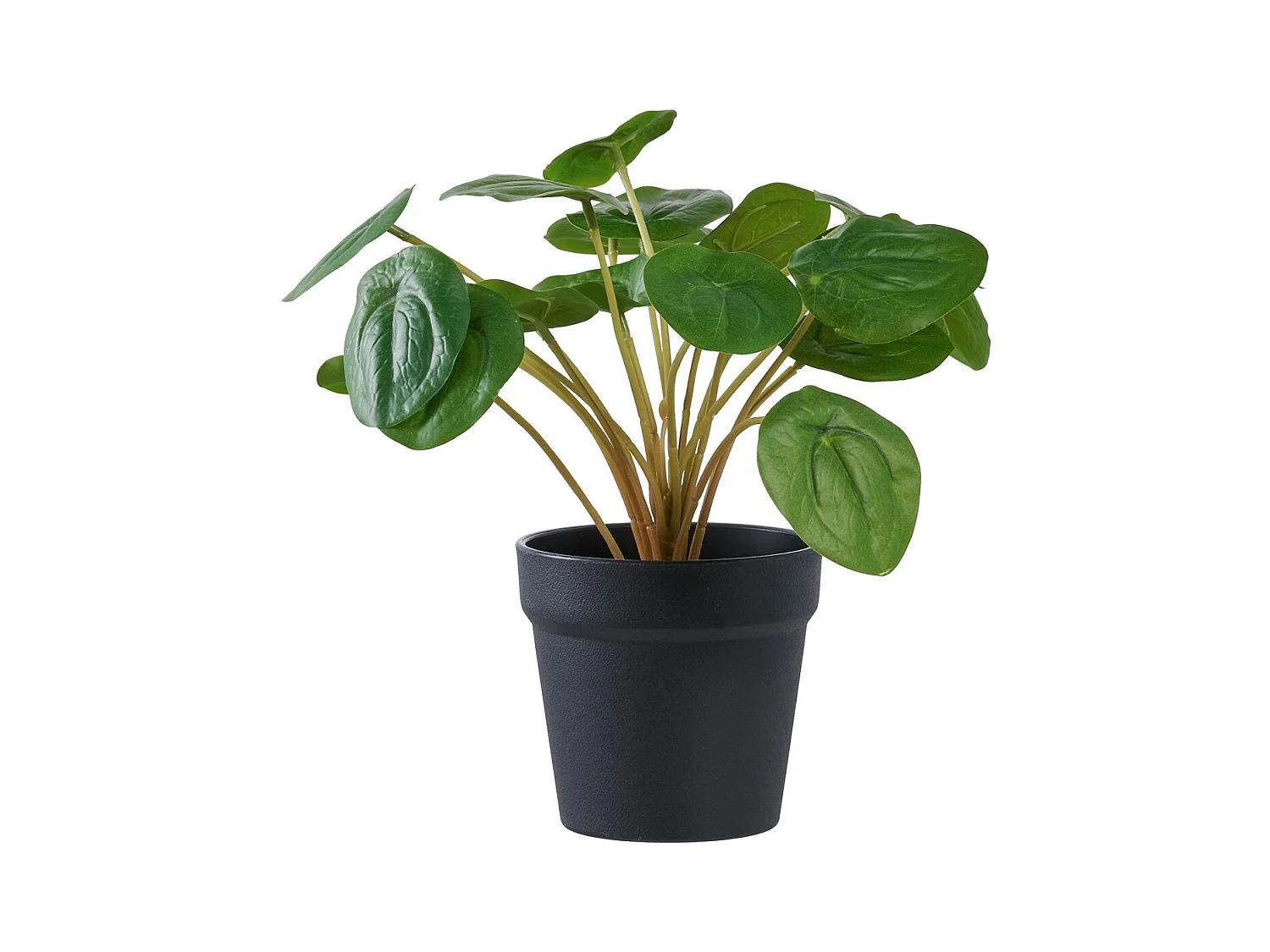 Plante Artificielle Pilea, Vert, 28x28x28 cm, EPIKASA