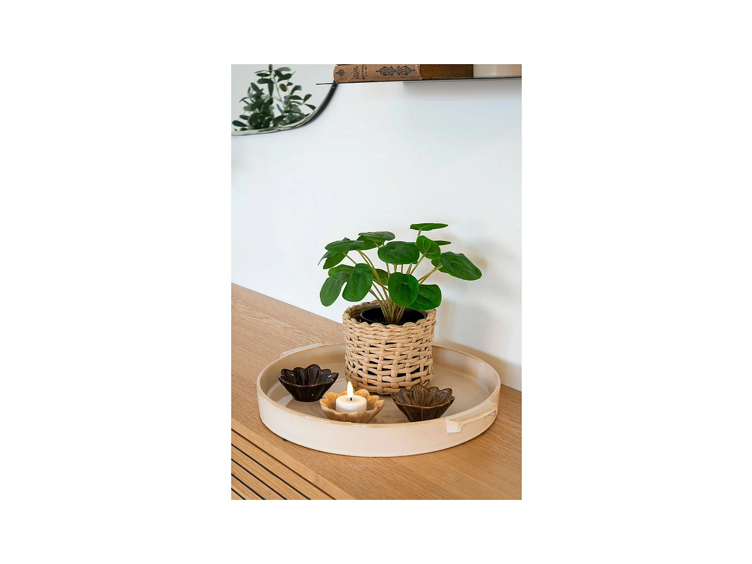 Kunstplant Pilea, Groen, 28x28x28 cm, EPIKASA