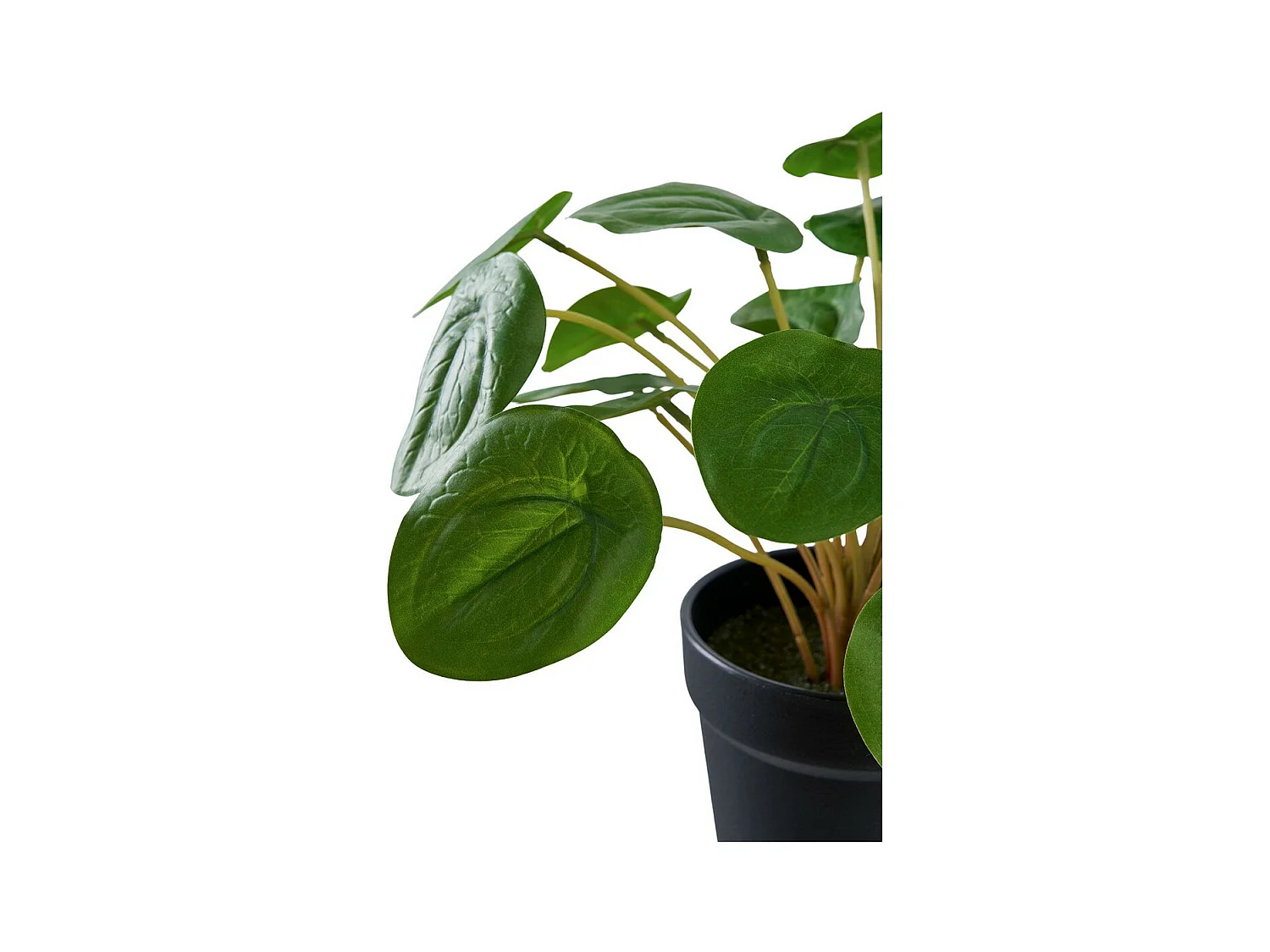 Kunstplant Pilea, Groen, 28x28x28 cm, EPIKASA