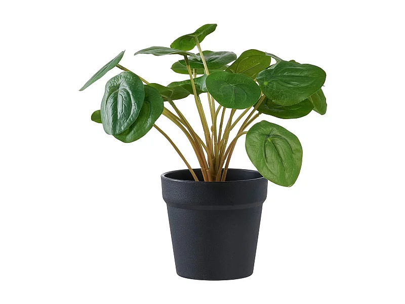 Sztuczna Roślina Pilea, Zielony, 28x28x28 cm, Seven Design