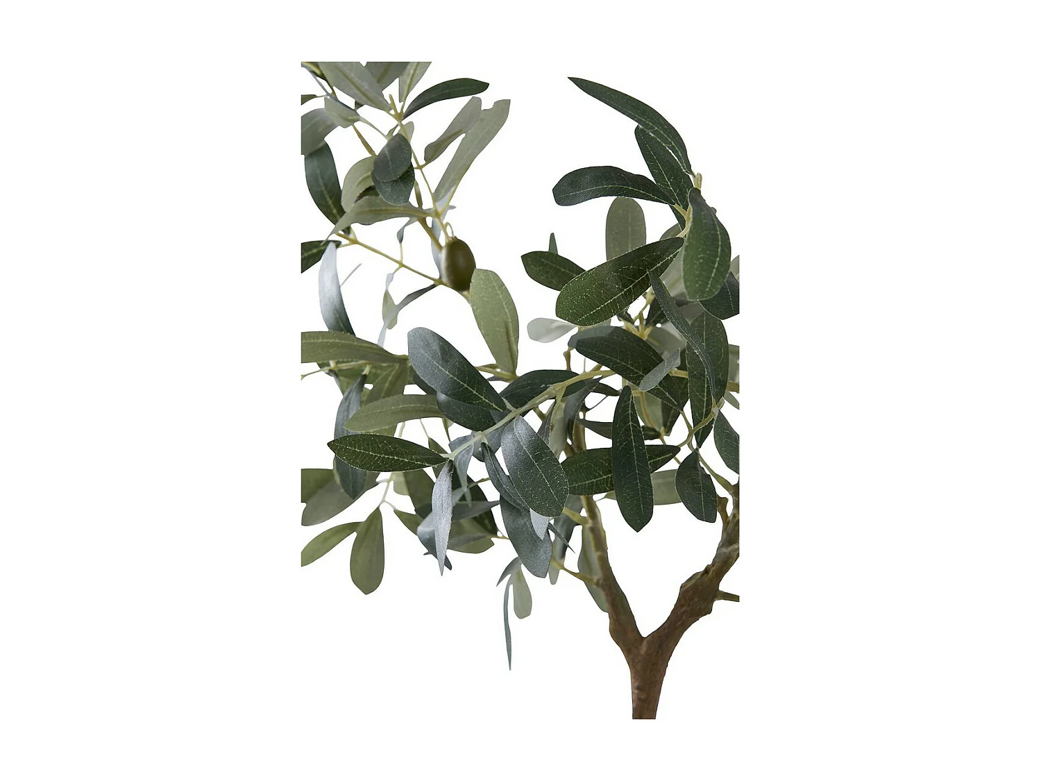 Kunstplant Olijfboom, Groen, 22,5x36,5x61 cm, Seven Design