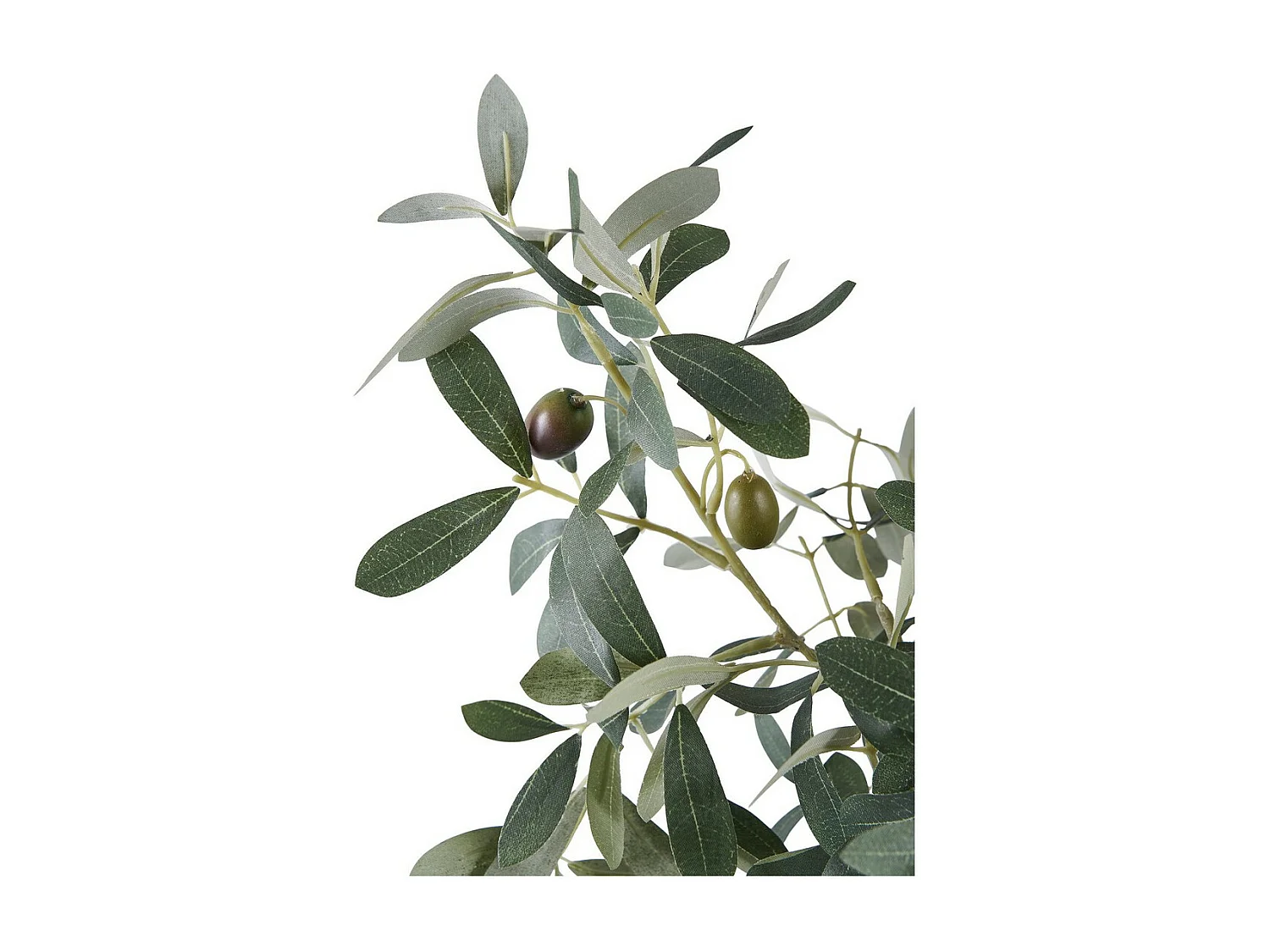 Kunstplant Olijfboom, Groen, 22,5x36,5x61 cm, Seven Design