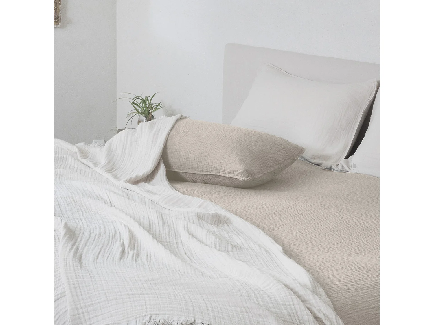 Housse de coussin 40x60 cm coton collection PAROS beige ficelle