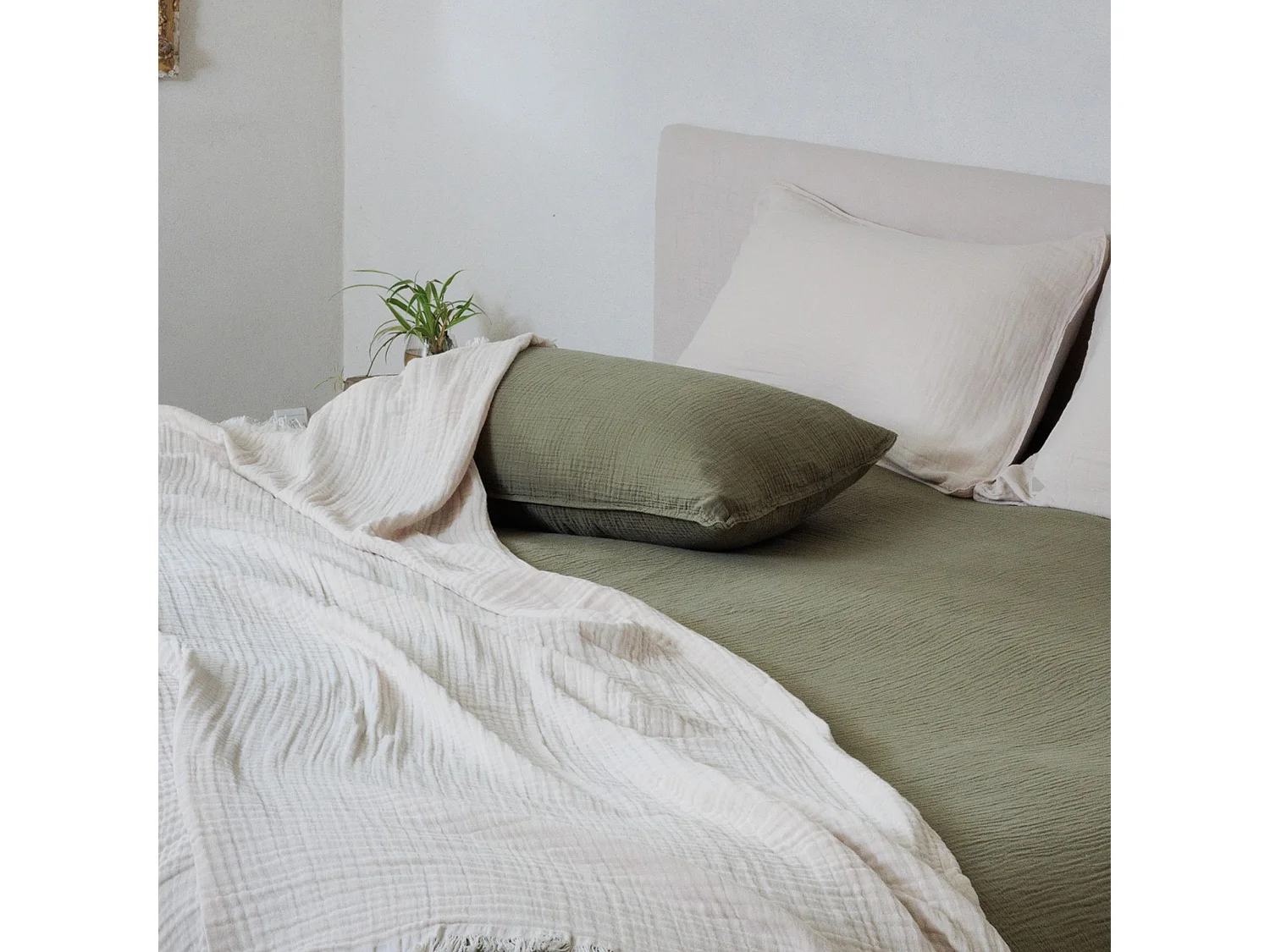 Housse de coussin 40x60 cm coton collection PAROS vert mousse
