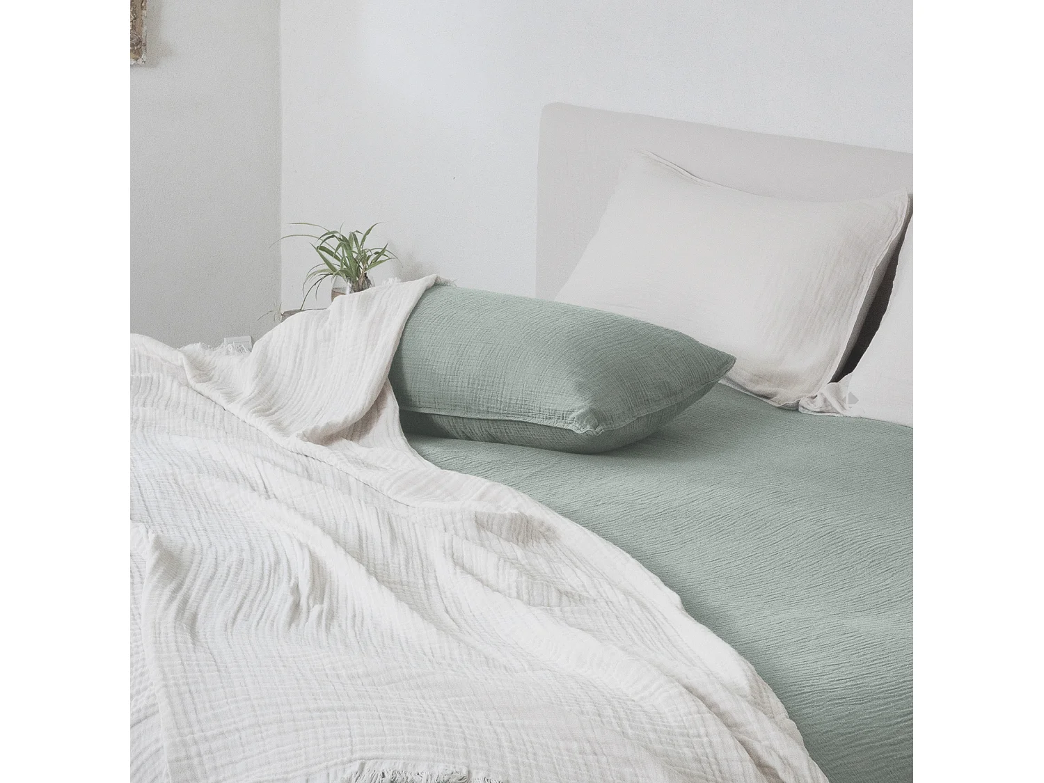 Housse de coussin 40x60 cm coton collection PAROS vert lichen