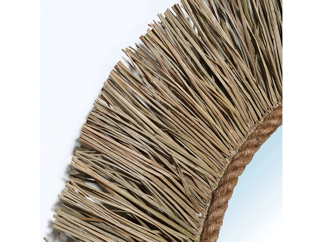 Der St Barth Spiegel - Natur