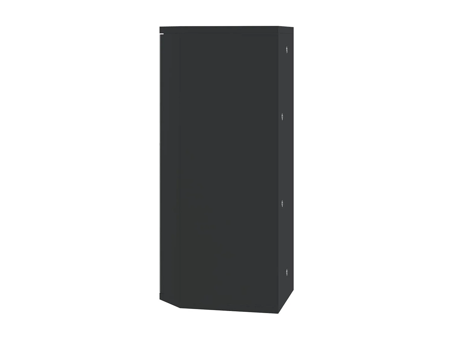 Eck-Spiegelschrank Schwarz 30x24x60 cm