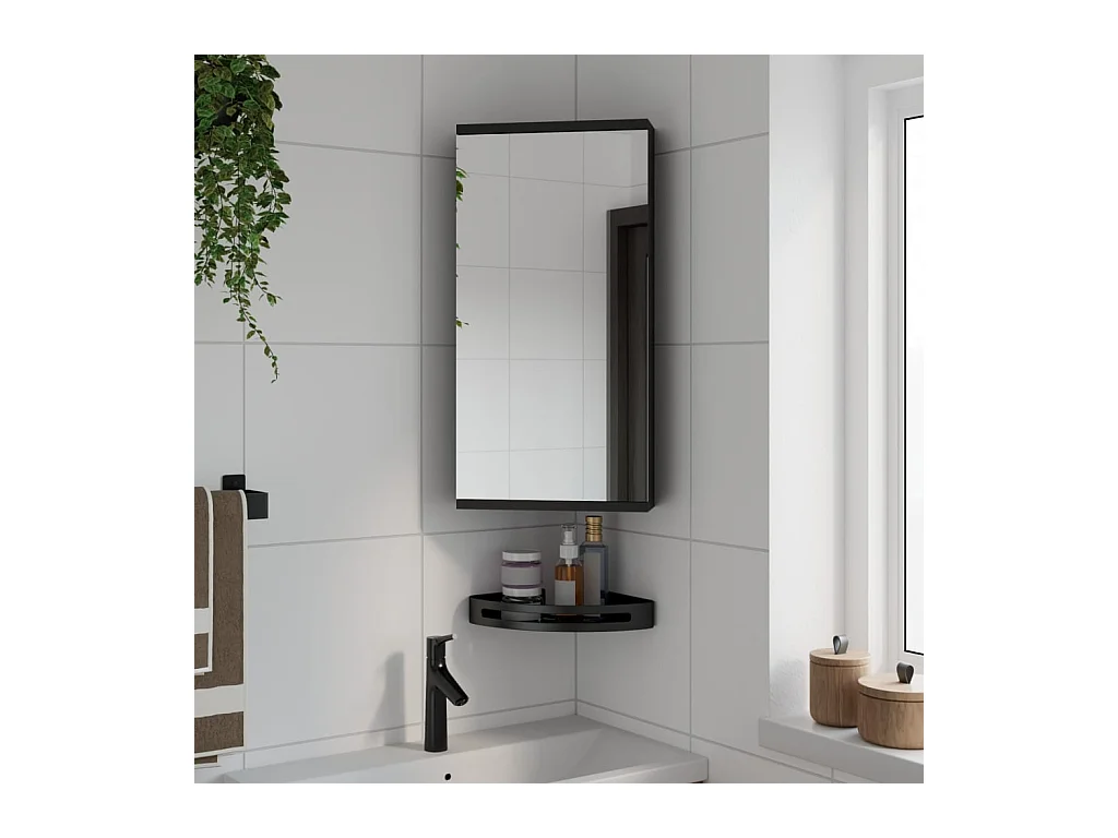 Badkamerkast met spiegel 30x24x60 cm zwart