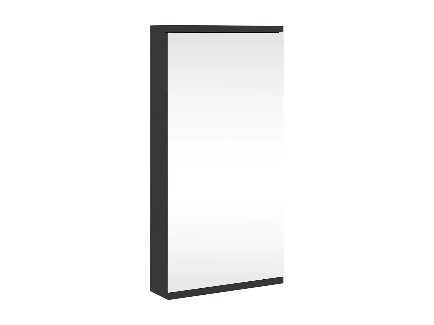 Badkamerkast met spiegel 30x24x60 cm zwart