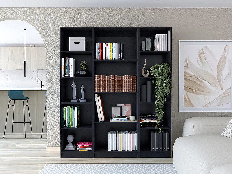 Elida Juego de salón de 3 piezas con 3 estanterías, Negro