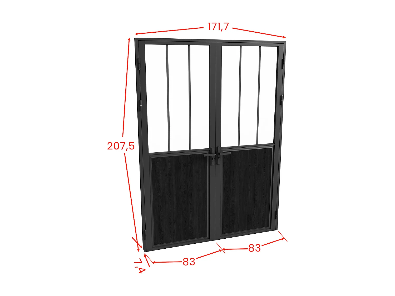 Omkeerbare dubbele deur van aluminium en gehard glas met werkplaatsstijl - 2 x H204 x B83 cm - Zwart - ERMELO