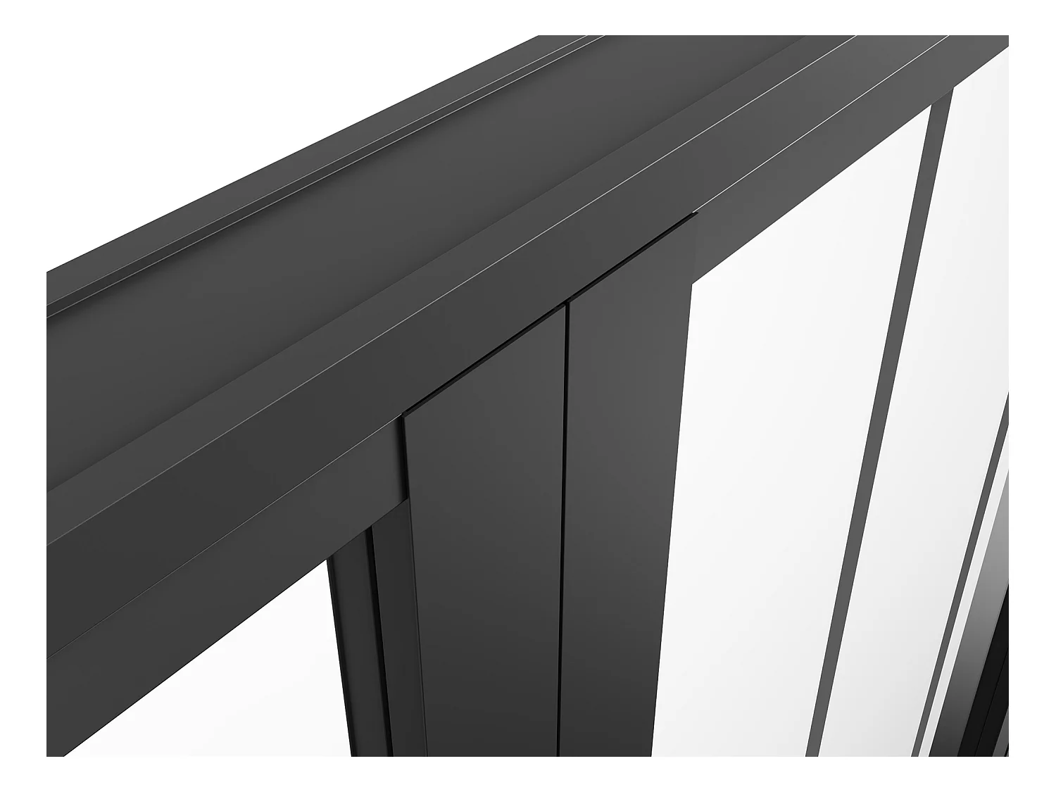 Bloc porte réversible à deux battants en aluminium et verre trempé style atelier - 2 x H204 x L83 cm - Noir - ERMELO