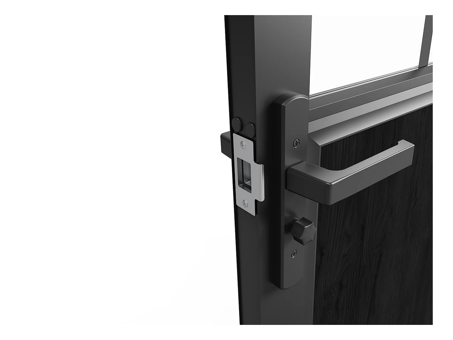 Bloc porte réversible à deux battants en aluminium et verre trempé style atelier - 2 x H204 x L83 cm - Noir - ERMELO