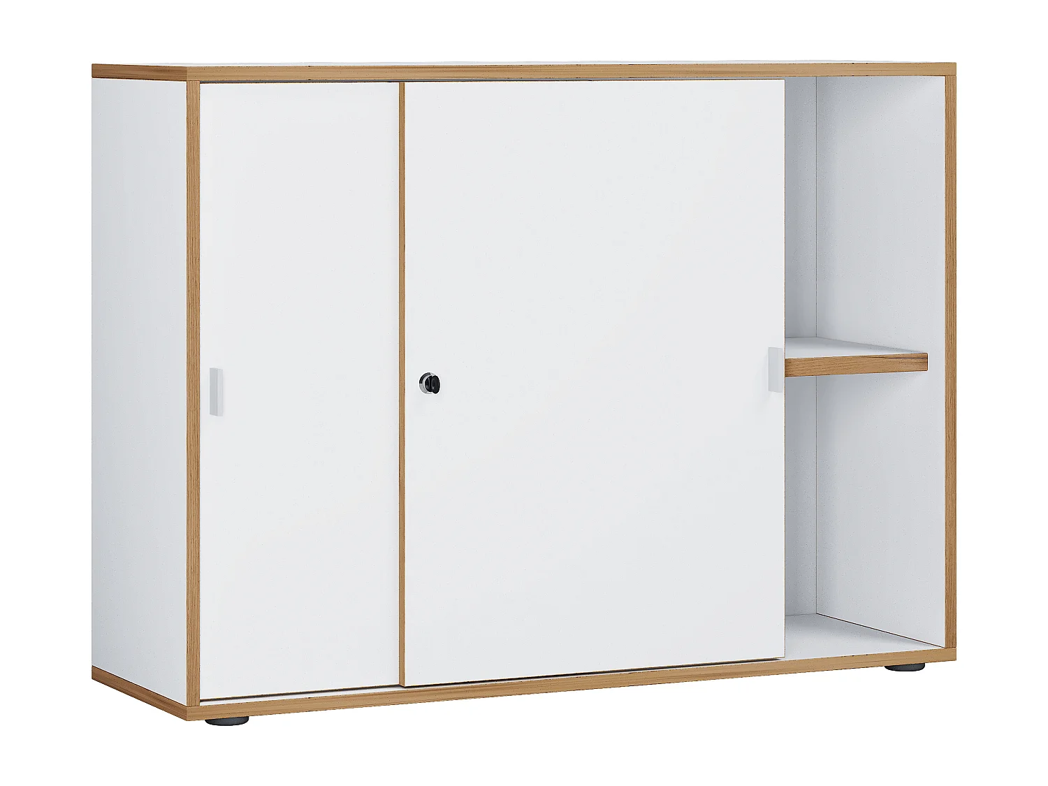 Drzwi przesuwne do szafek biurowych Salia 2x 100