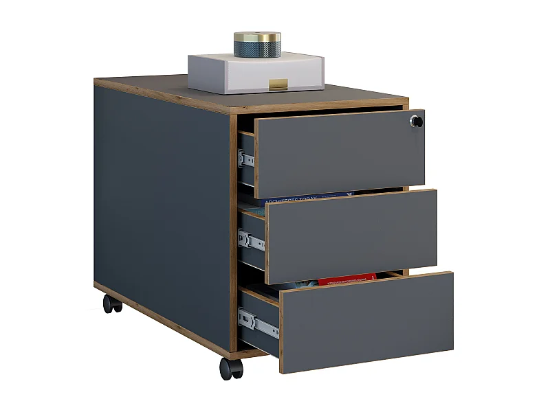 Roll Container Salia Anthracite H. 50 x W. 42 x D. 70 cm