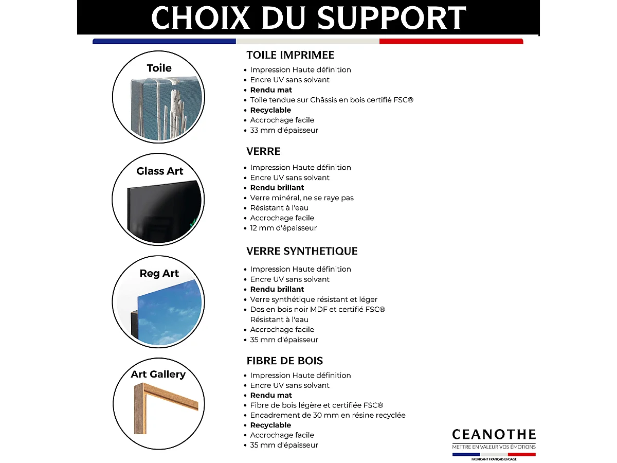 Tableau sur toile chameau humain 65x97 cm