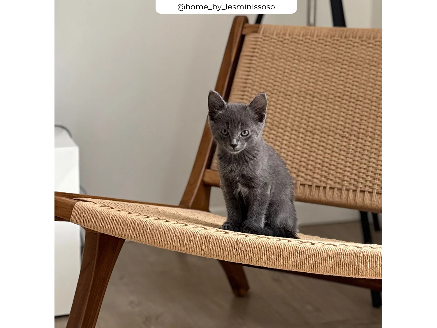 Fauteuil Kilka en bois de teck et cordage en loom - Kilka