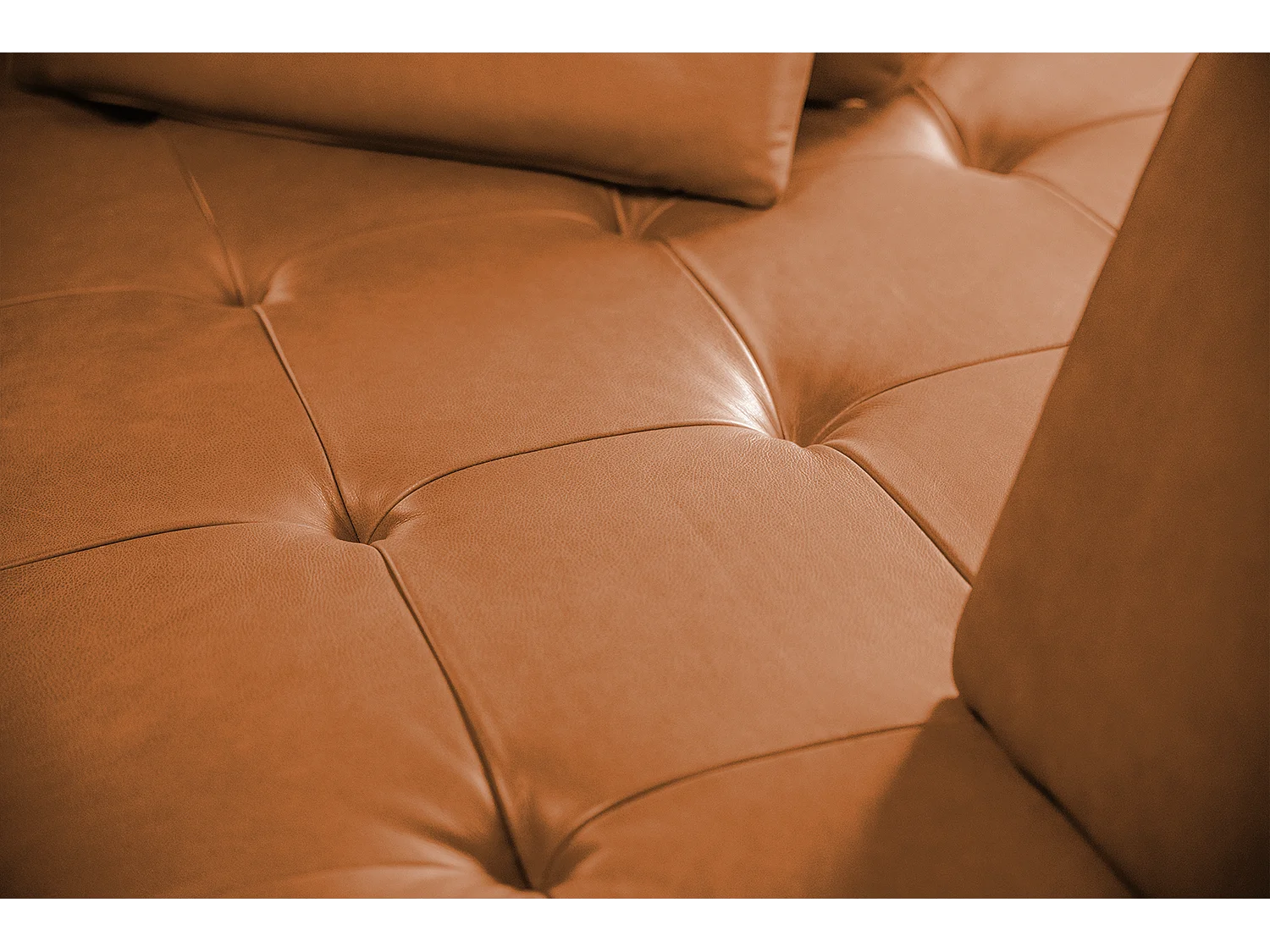 Daybed - Braun Leder - WIOLO