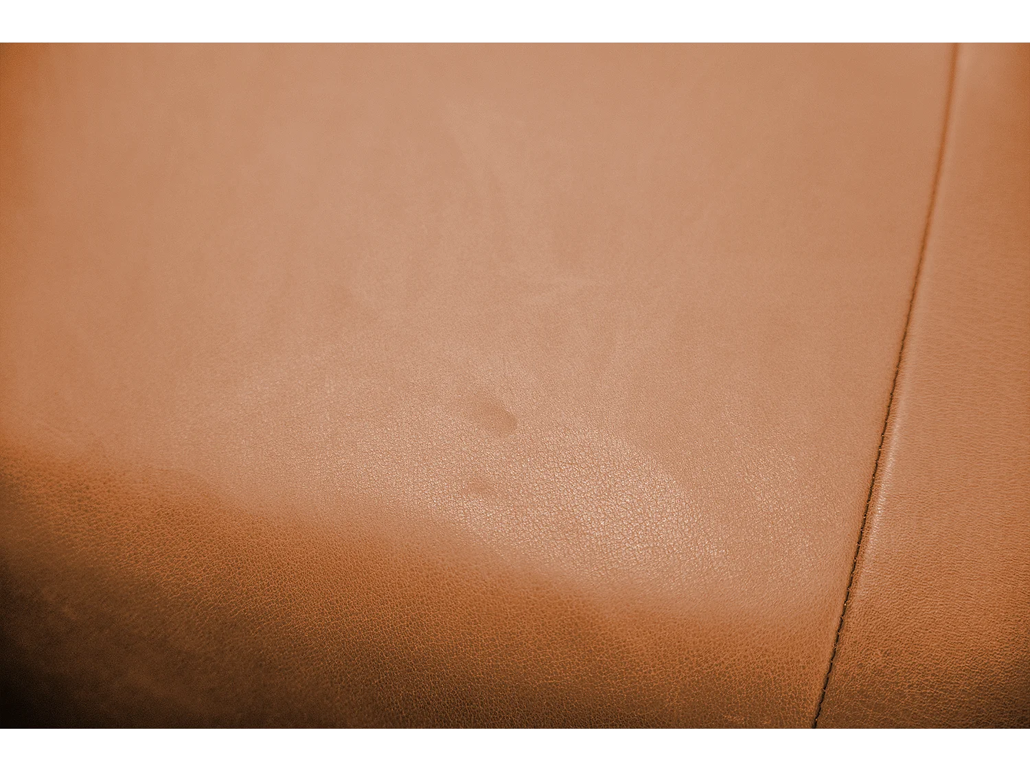 Daybed - Braun Leder - WIOLO