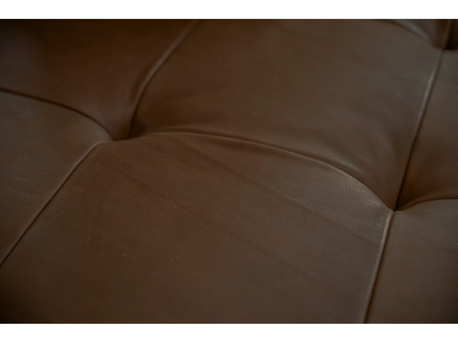 Daybed - Dunkelbraun Leder - WIOLO