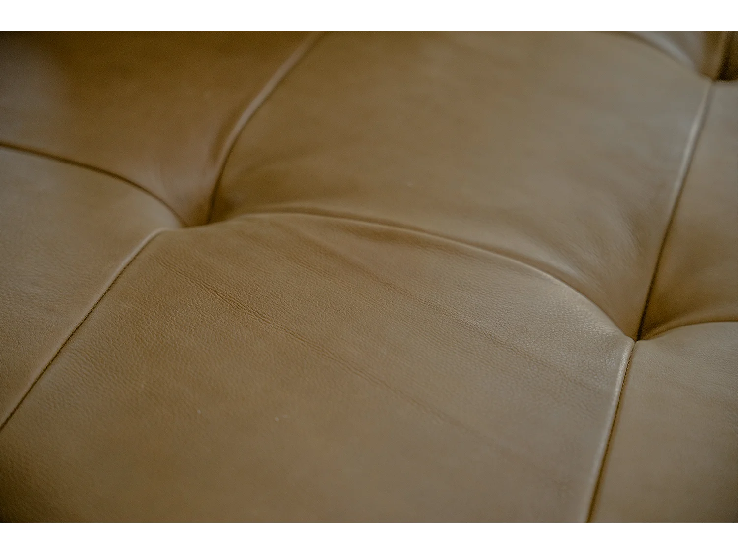 Daybed - Beige Leder - WIOLO