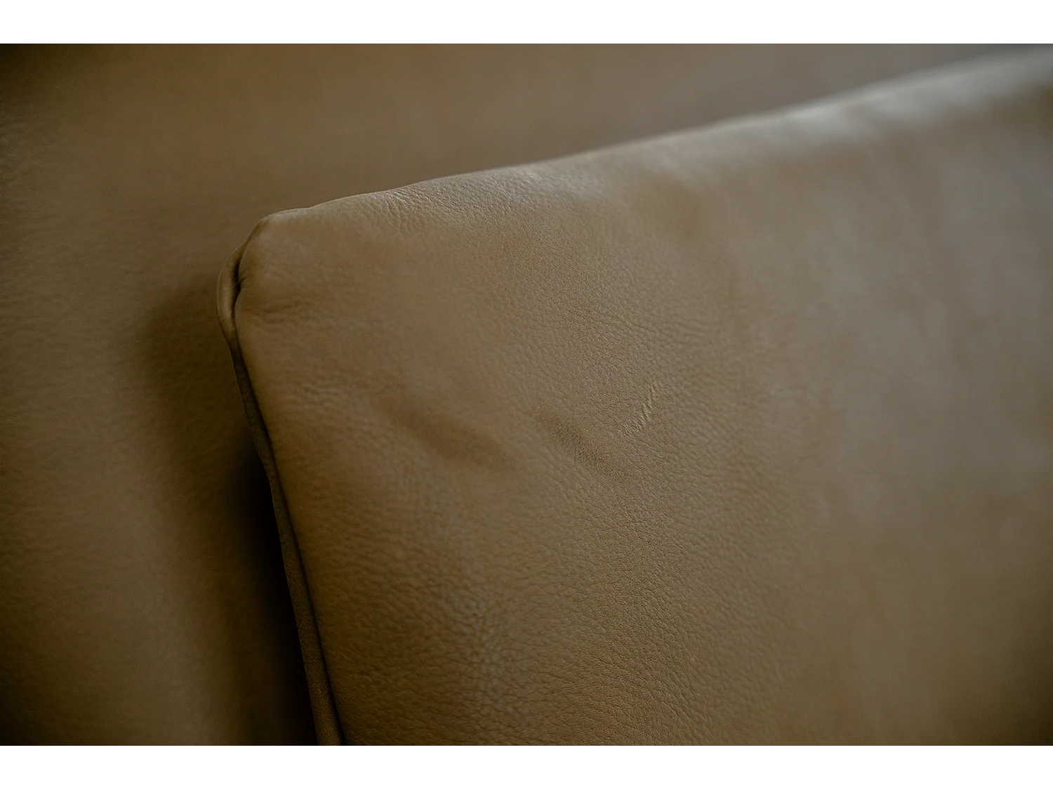 Daybed - Beige Leder - WIOLO