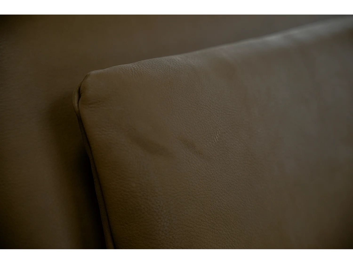 Daybed - Dunkelbraun Leder - WIOLO