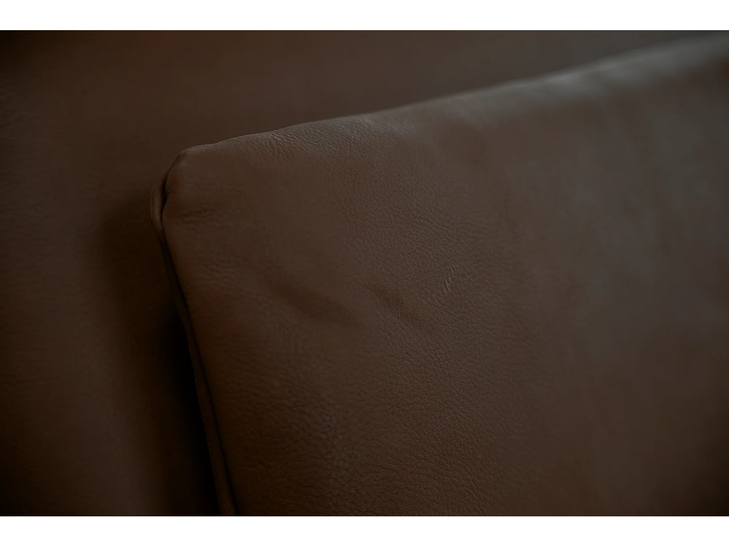 Daybed - Dunkelbraun Leder - WIOLO