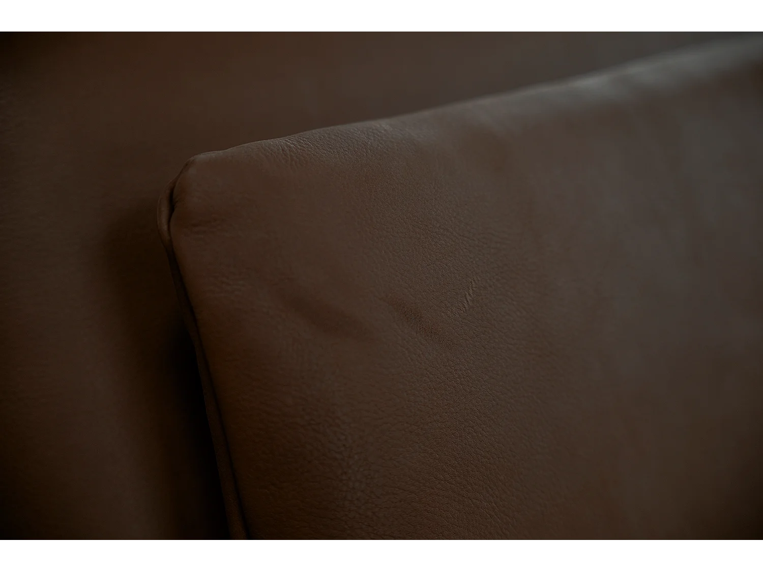 Daybed - Dunkelbraun Leder - WIOLO