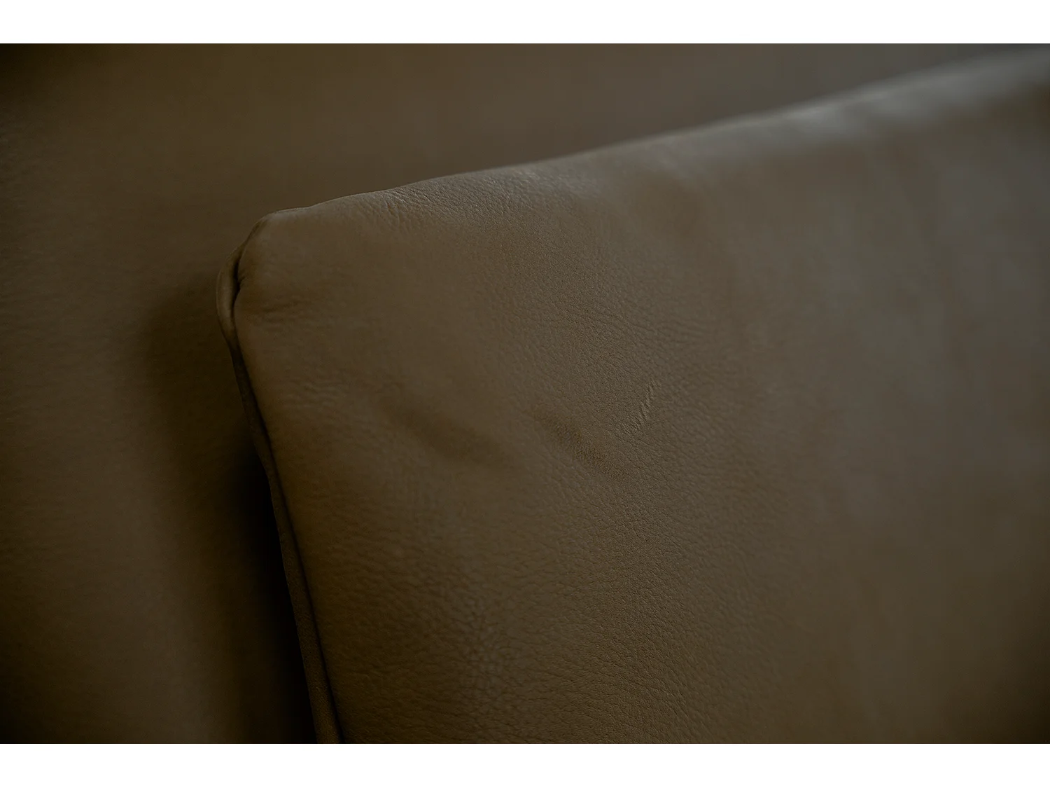 Daybed - Dunkelbraun Leder - WIOLO