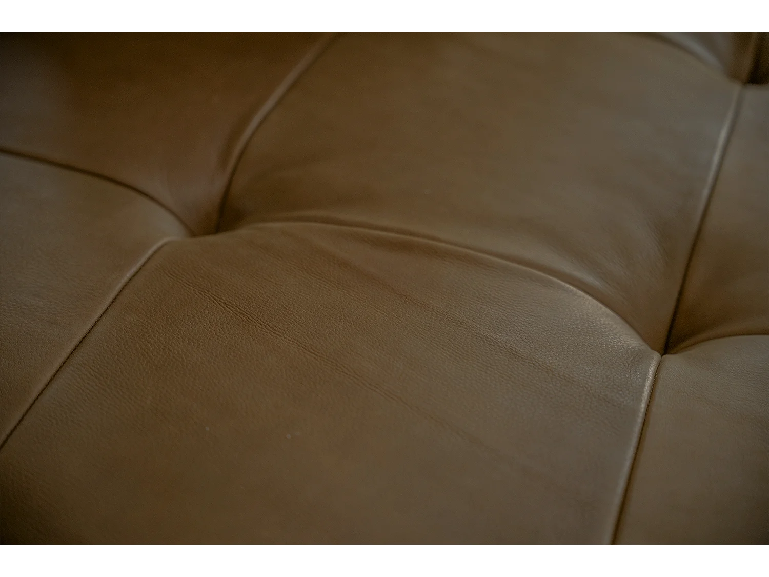 Daybed - Dunkelbraun Leder - WIOLO