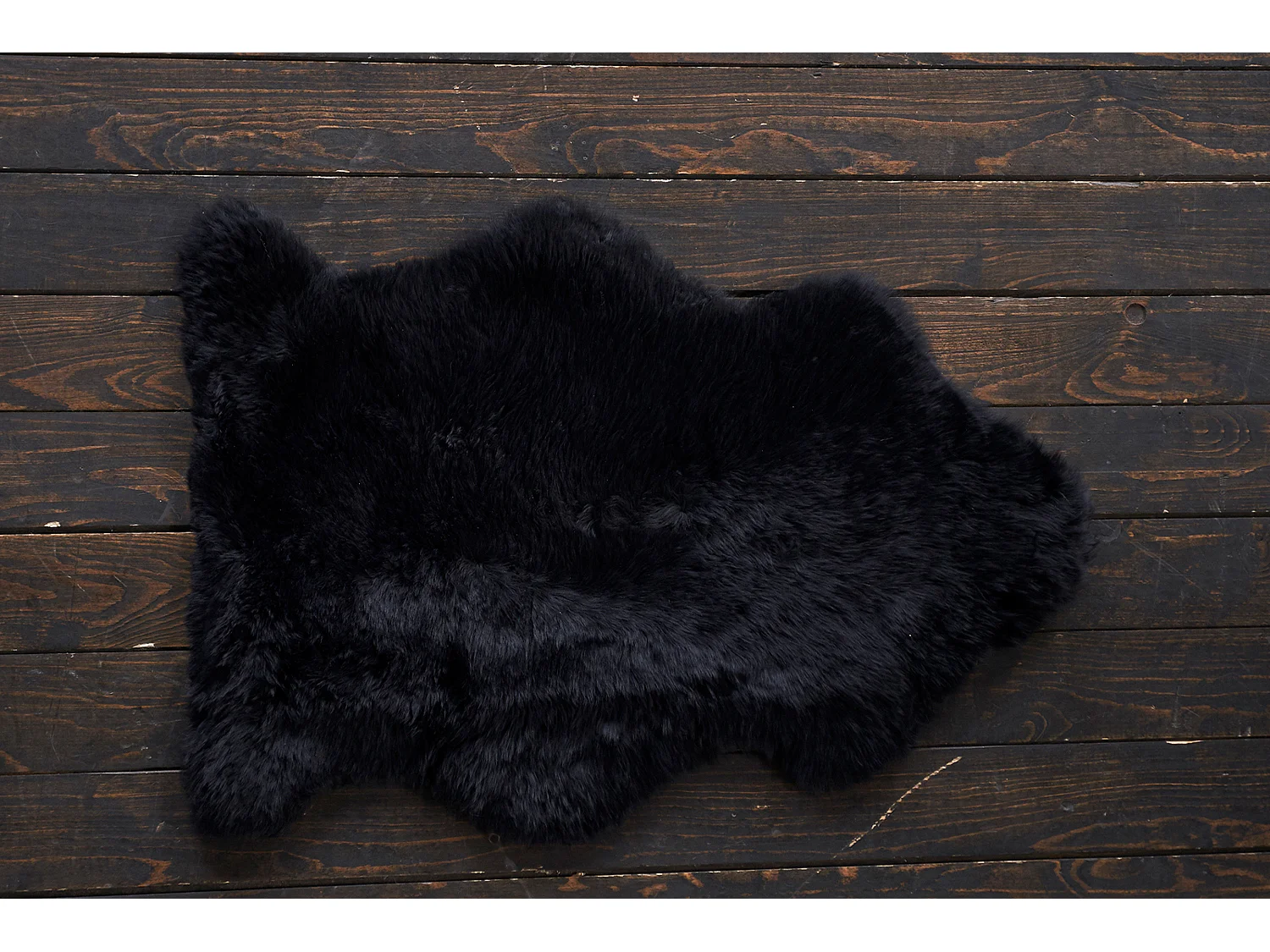 CALEBRE - Zwart  - CALEBRE