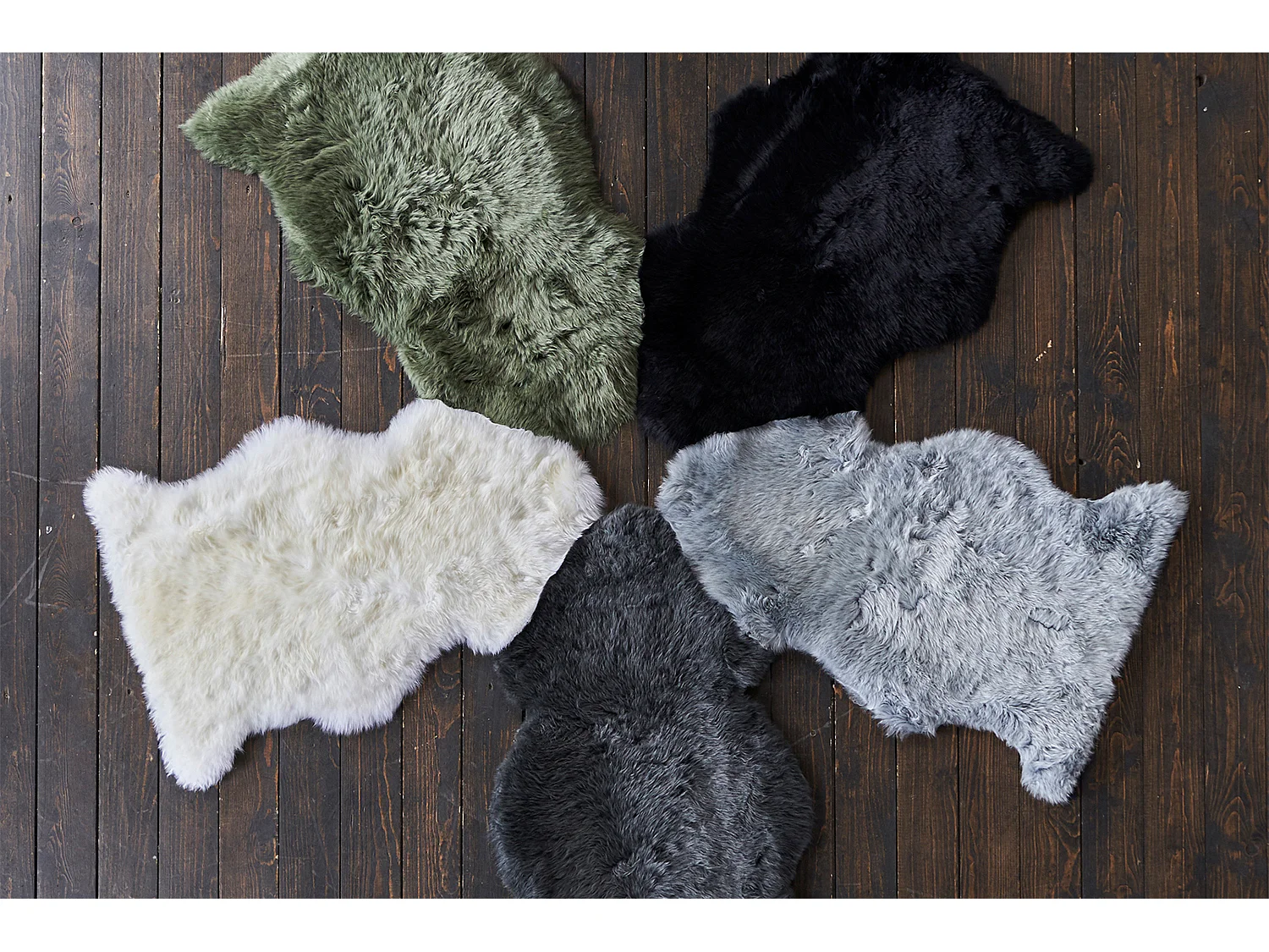 CALEBRE - Zwart  - CALEBRE