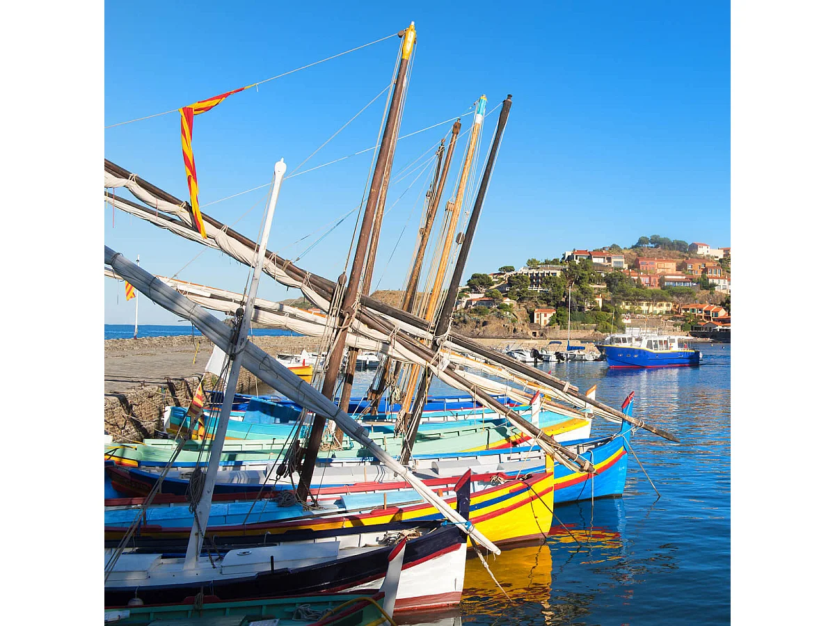 Tableau sur toile port de Collioure 45x45 cm