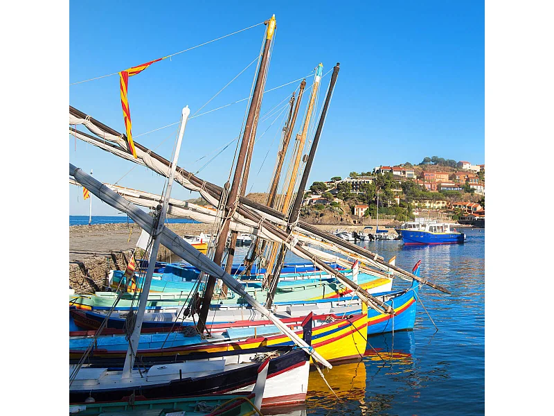Tableau sur toile port de Collioure 45x45 cm