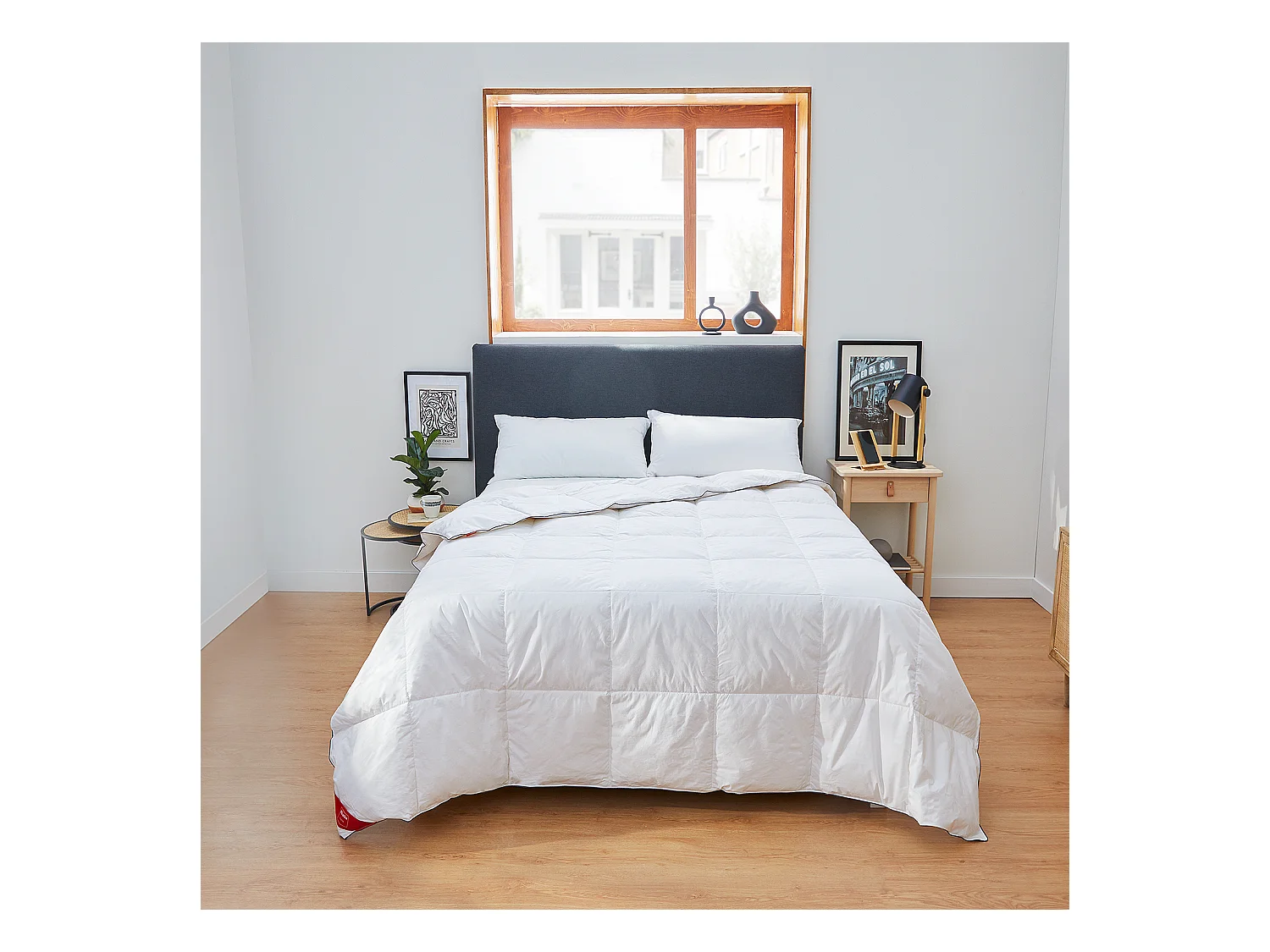 Dekbed van 96% dons 220 g voor de herfst/winter