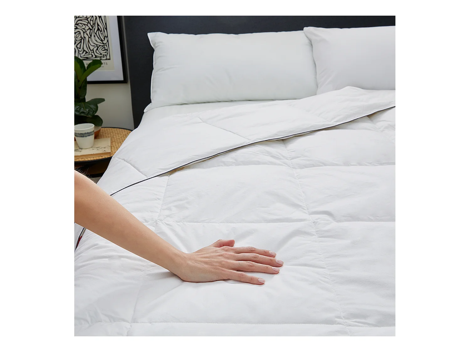 Dekbed van 96% dons 220 g voor de herfst/winter