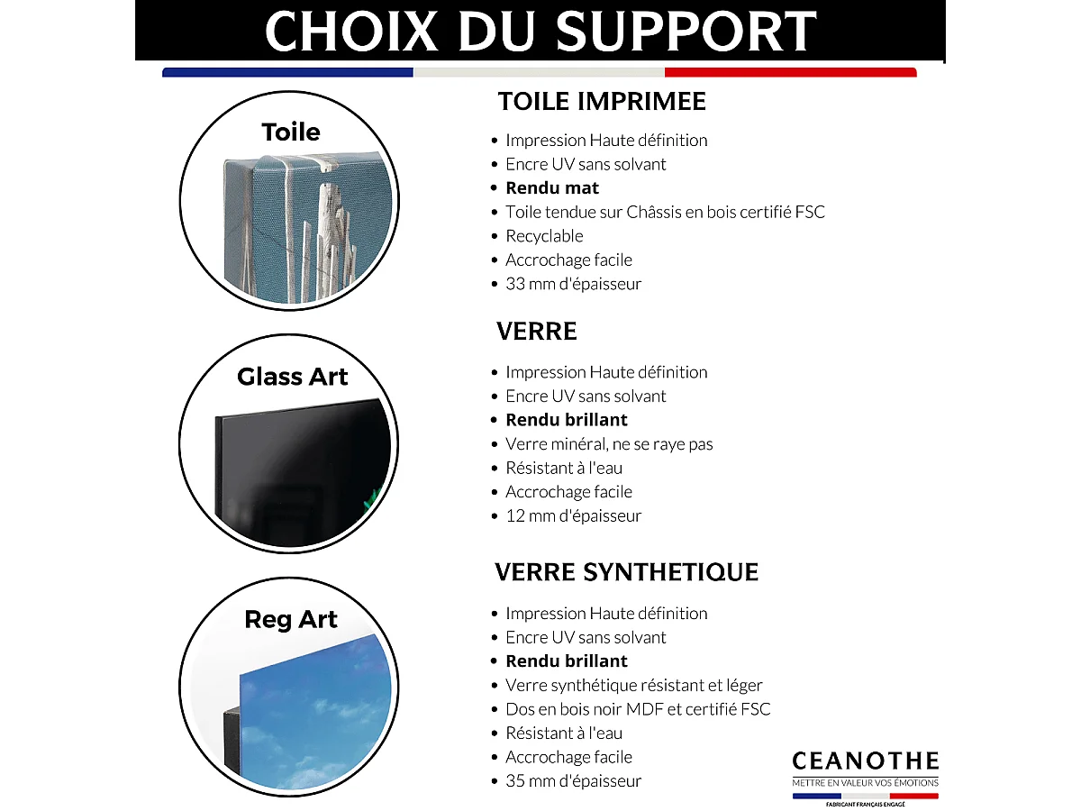 Tableau sur verre paon humain 30x30 cm