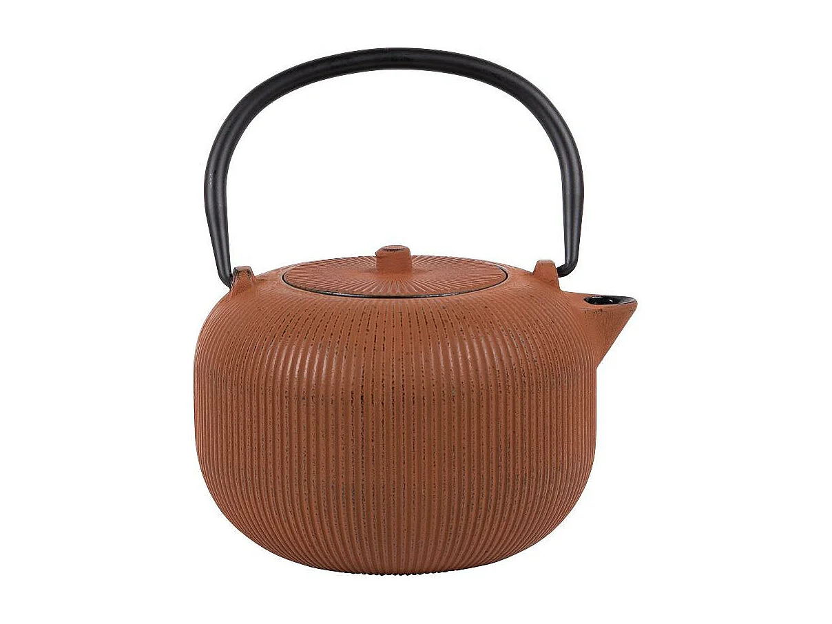 Théière en fonte Gyokuro Camel 1L