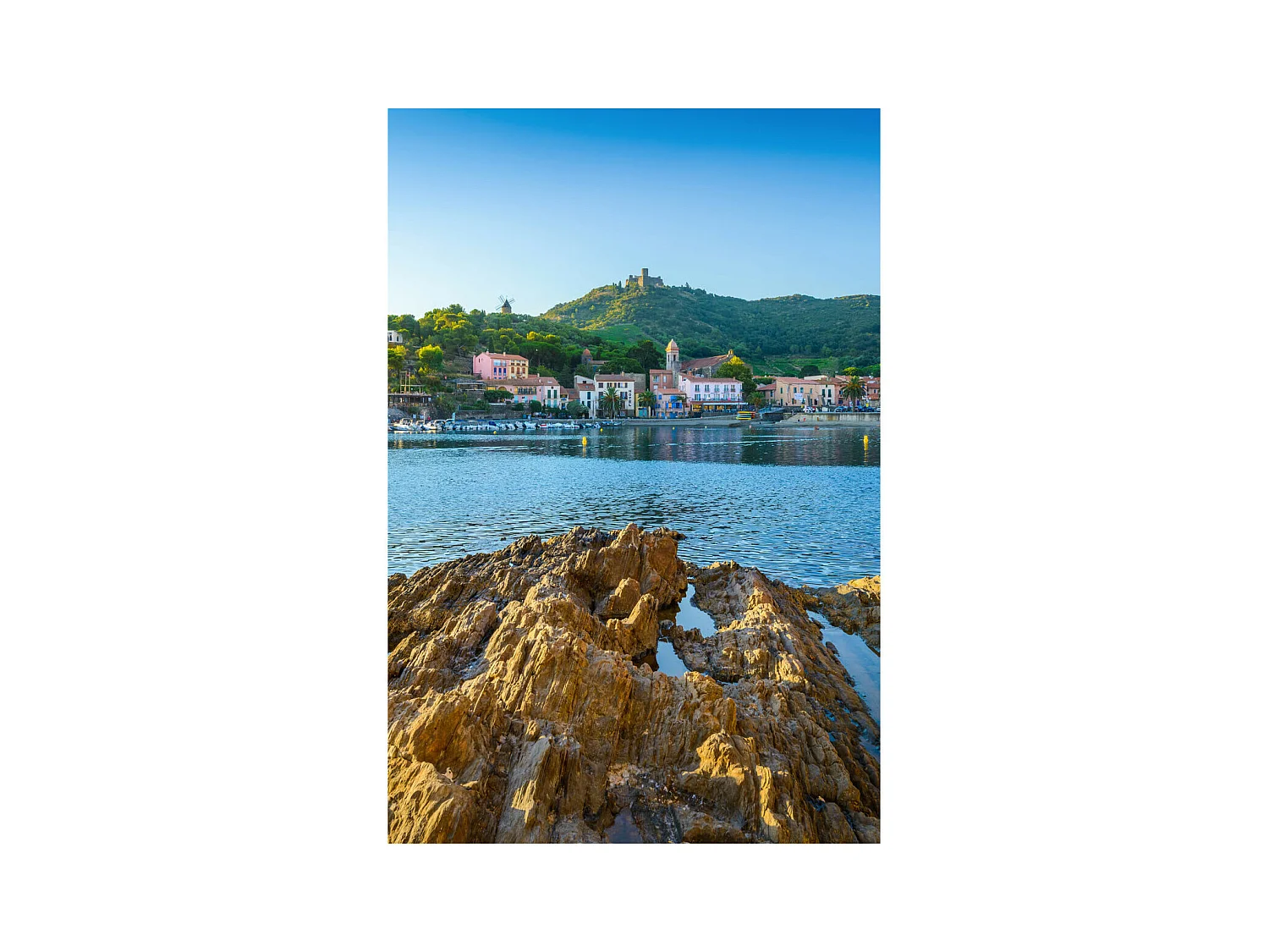 Tableau sur toile petit port de Collioure 30x45 cm